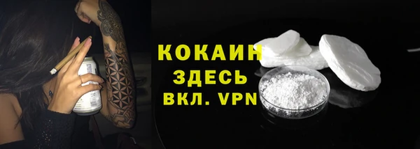 ГАЛЛЮЦИНОГЕННЫЕ ГРИБЫ Касимов