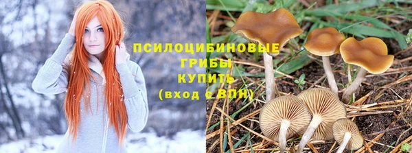 мяу мяу мука Киреевск