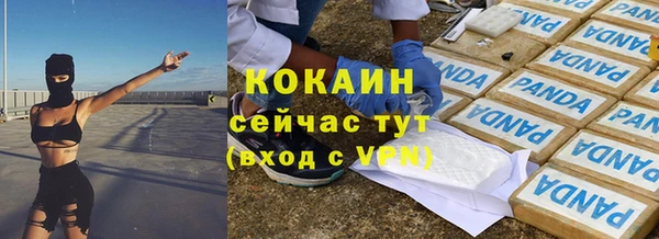 стаф Козловка