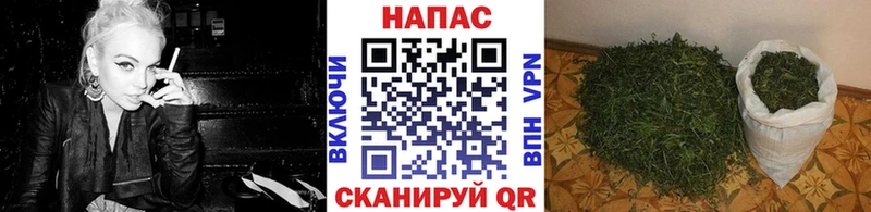 сайты даркнета телеграм  даркнет сайт  Кировград  Шишки марихуана планчик  блэк спрут онион 